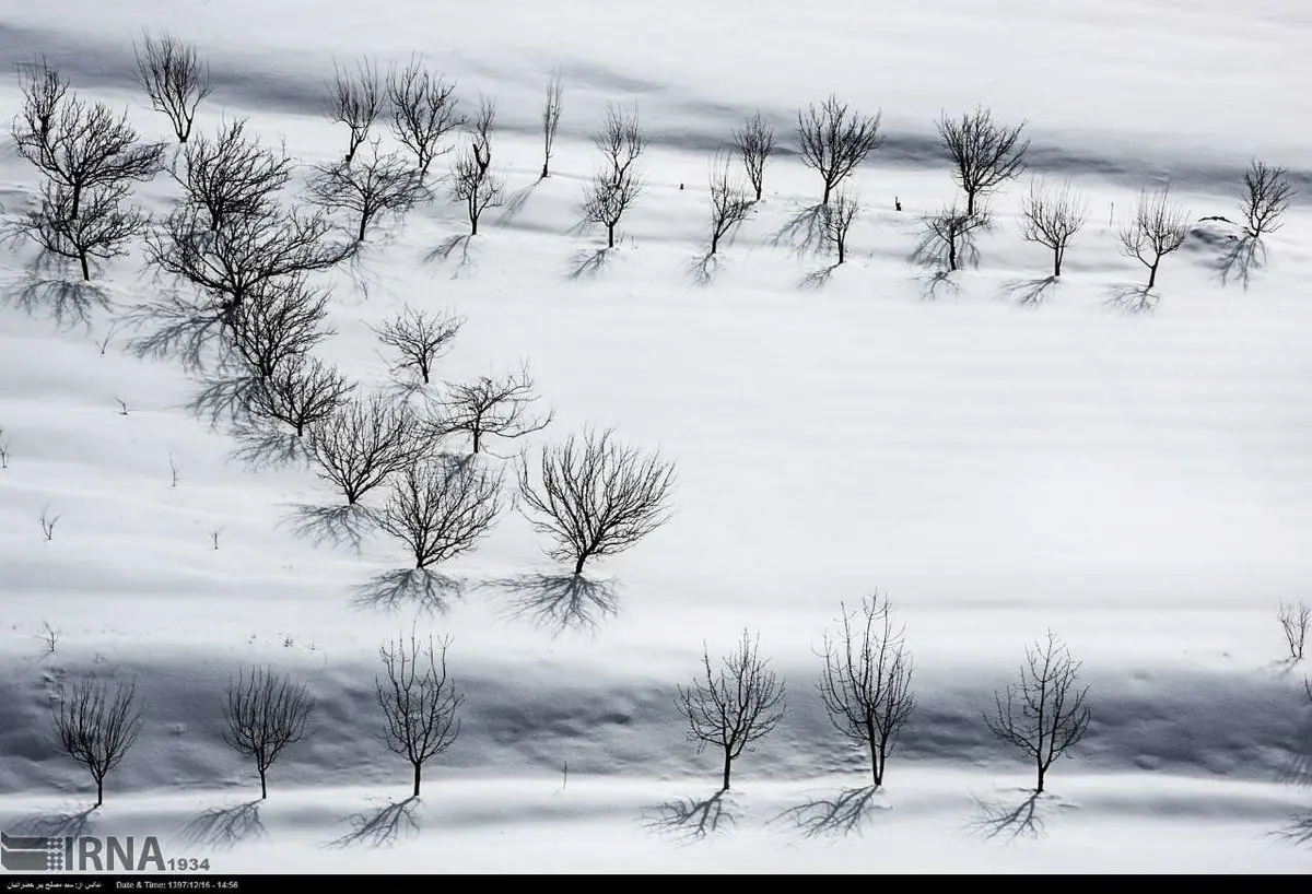 طبیعت زمستانی کردستان/تصاویر