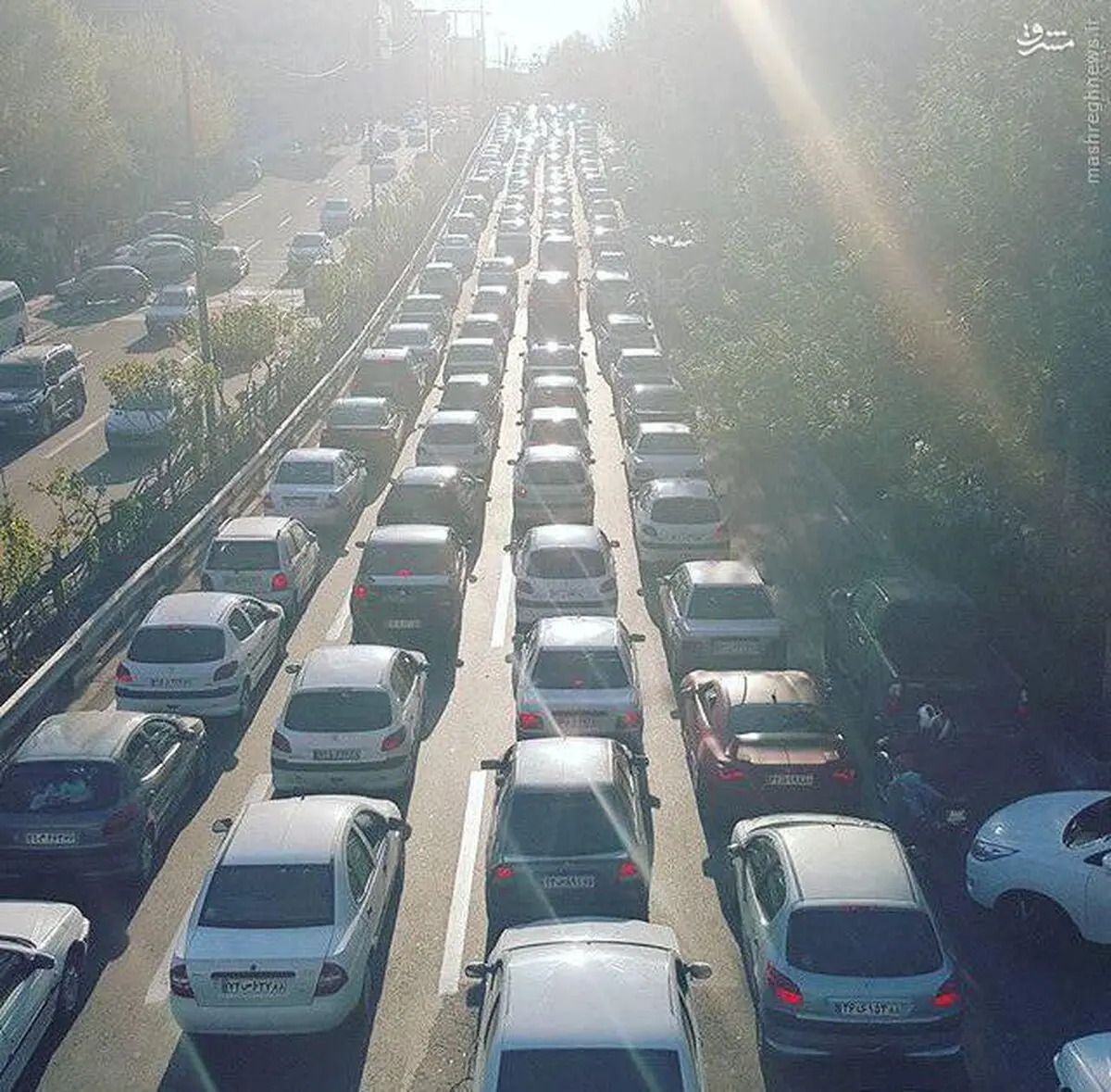 وقتی تهرانی‌ها منظم می‌شوند/عکس
