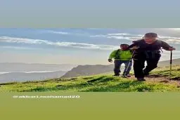 استوري متفاوت سارا بهرامي + اينستاگرام