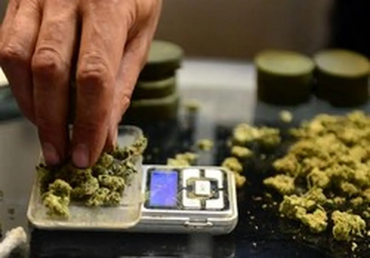 پیشنهاد جنجالی نماینده مجلس: دولت مواد مخدر عرضه کند! + جزئیات