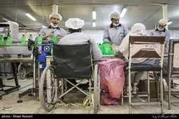 معلولیت محدودیت نیست؛ کارگران متفاوت کارخانه فیروز/تصاویر