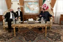 شمخانی: کمترین مجازات برای ترور شهید سلیمانی اخراج عاملان آن از منطقه است