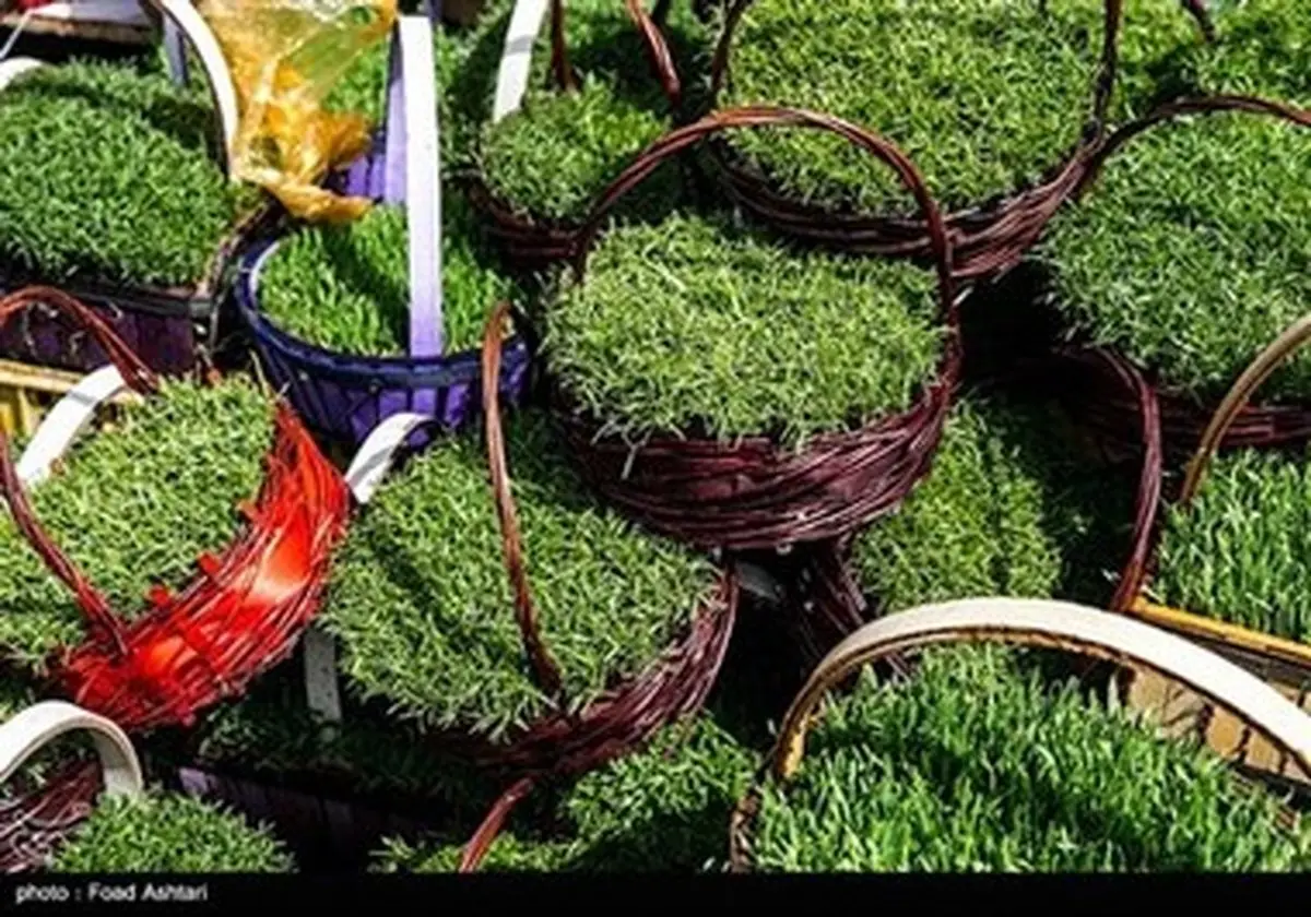 شهر در چند قدمی بهار /تصاویر