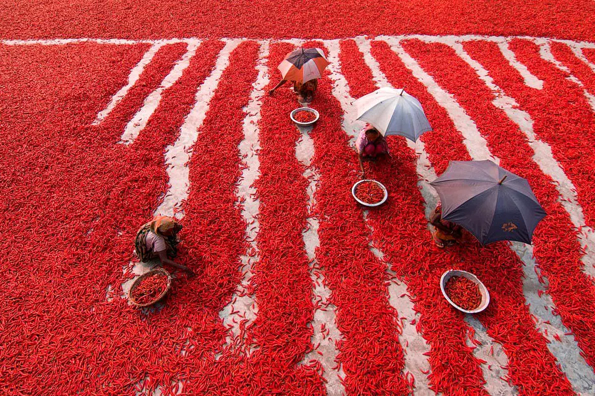 آگورا بیوتی ۲۰۱۹؛ نمایش عکس‌هایی جذاب در یک رقابت