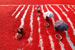آگورا بیوتی ۲۰۱۹؛ نمایش عکس‌هایی جذاب در یک رقابت
