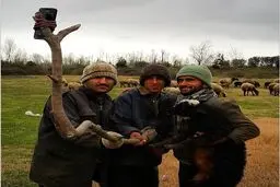 مونوپاد ابتکاری یک چوپان برای گرفتن سلفی/عکس