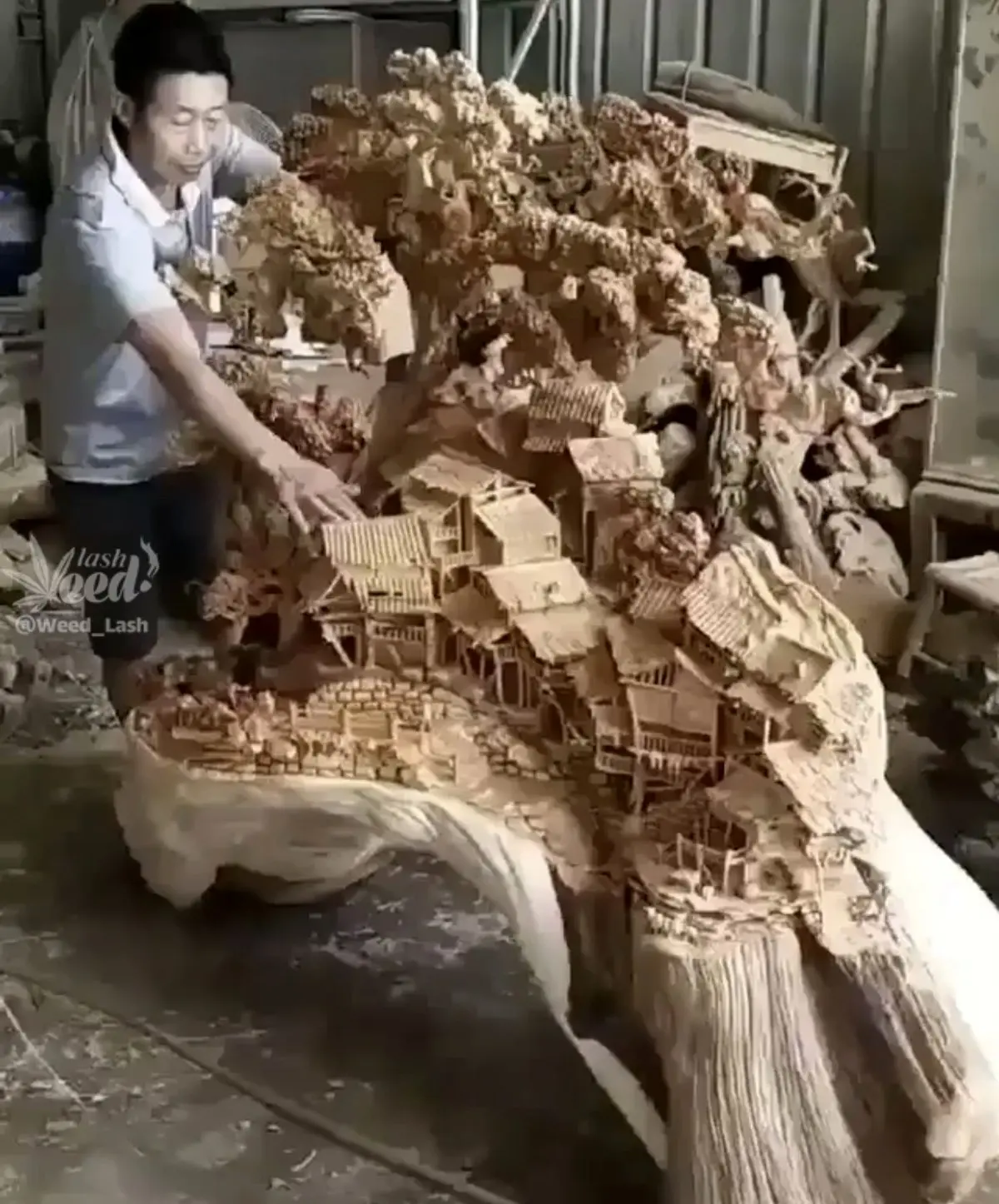 تصاویر دیدنی از خلق یک شاهکار روی تنه یک درخت