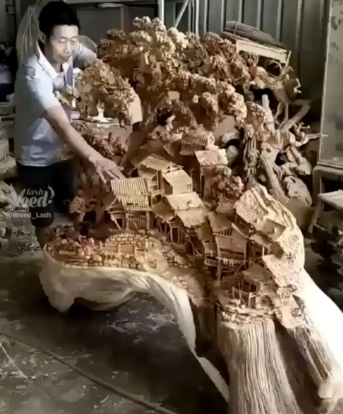 تصاویر دیدنی از خلق یک شاهکار روی تنه یک درخت