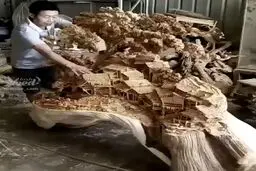تصاویر دیدنی از خلق یک شاهکار روی تنه یک درخت