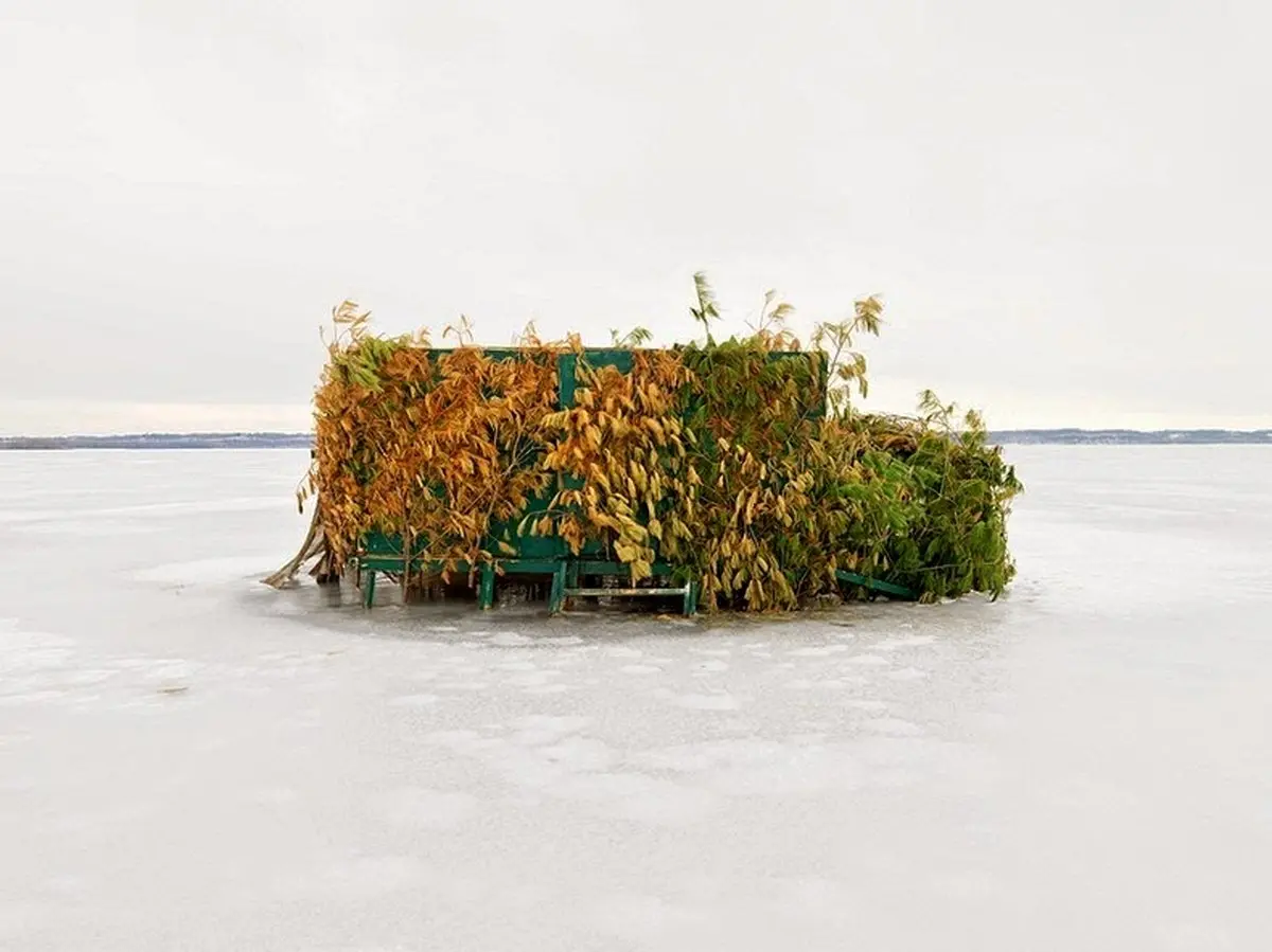 استتار شکارچیان اردک/تصاویر