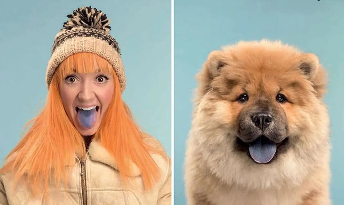 تصاویر دیدنی از شباهت سگ‌ها با صاحبشان!