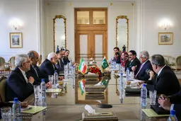 تصاویر/حاشیه های دیدار ظریف و آصف