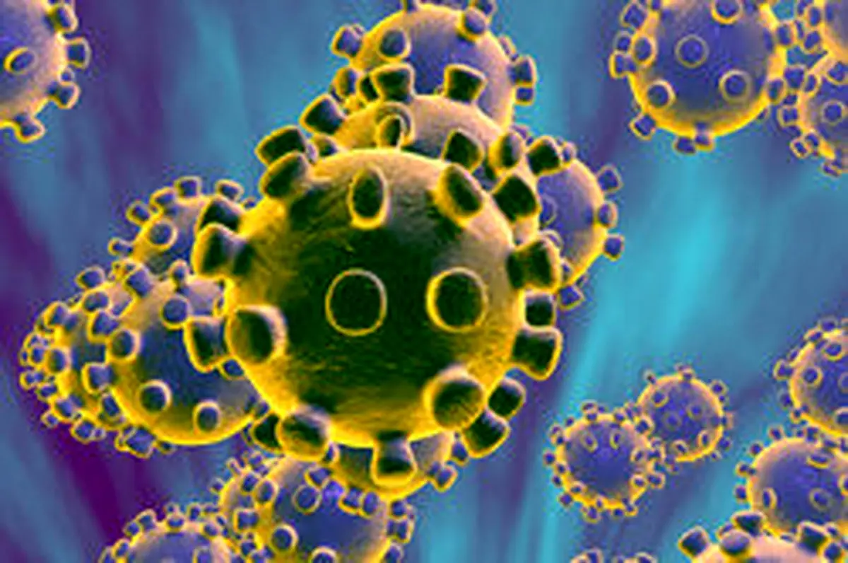 انتقال شهروند ایرانی مشکوک به کرونا در نجف به کشور