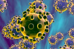 انتقال شهروند ایرانی مشکوک به کرونا در نجف به کشور