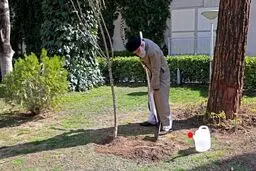 کاشت نهال با دستکش توسط رهبر معظم انقلاب + عکس