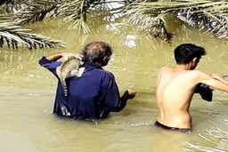 عکس / نجات یک گربه توسط یکی از اهالی کوت عبدالله