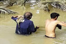 عکس / نجات یک گربه توسط یکی از اهالی کوت عبدالله