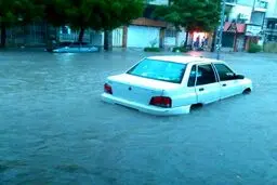 آبگرفتگی خیابان‌های بوشهر/ عکس