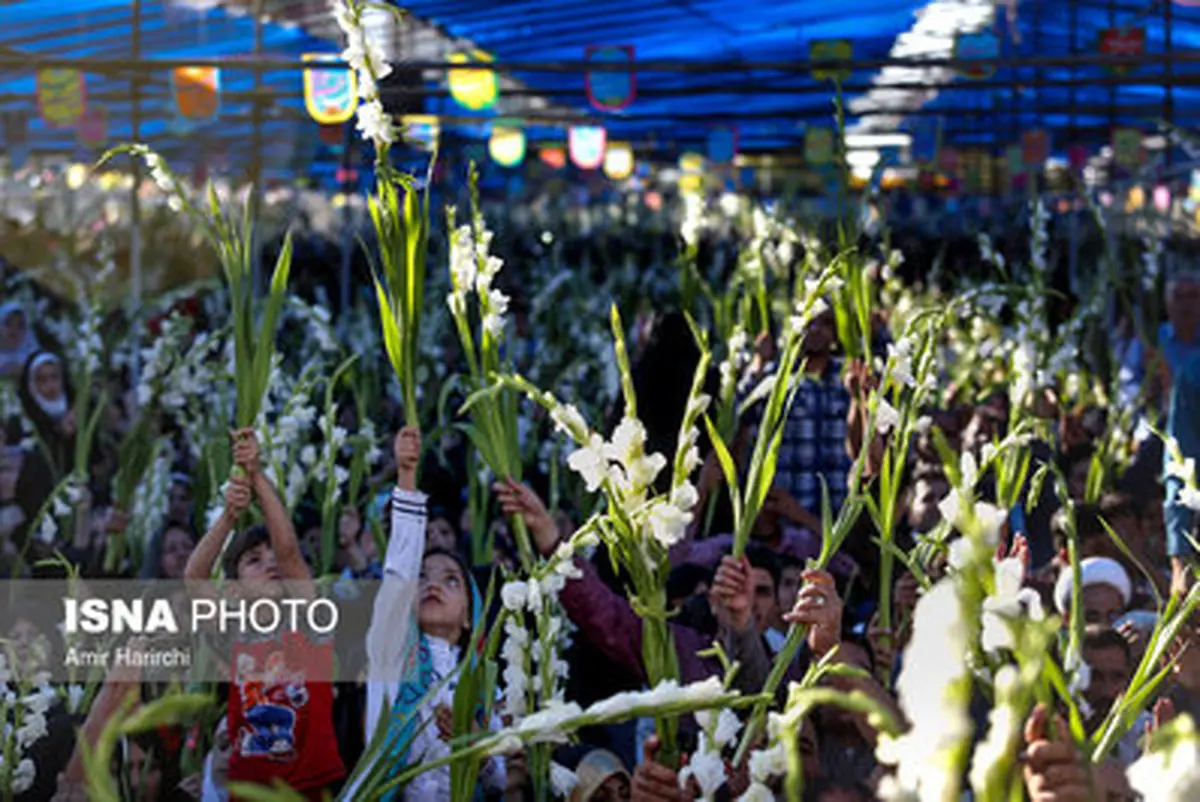 تصاویر زیبا از گلباران حرم رضوی