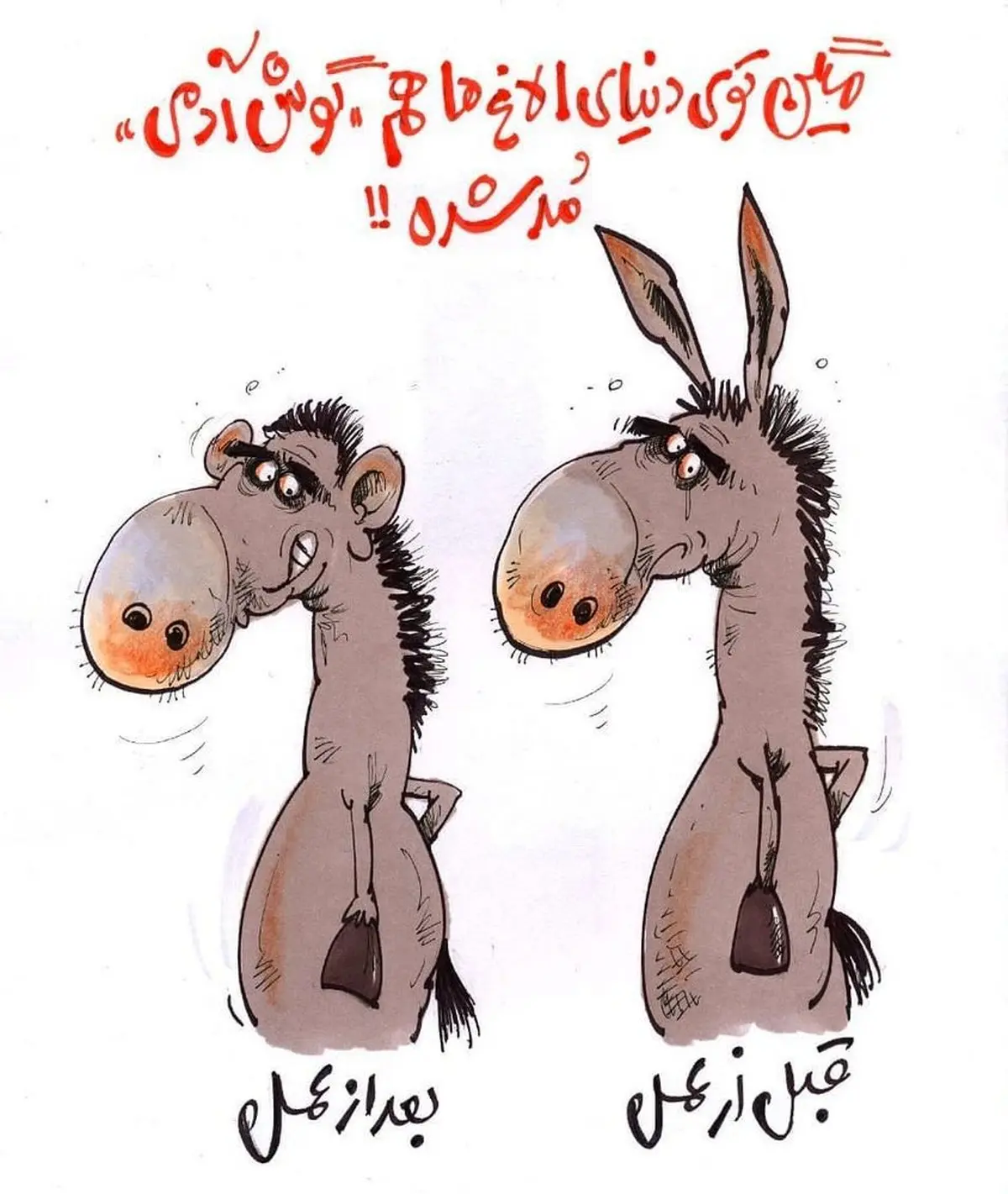 الاغ قبل از عمل و بعد از عمل! /کاریکاتور