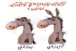 الاغ قبل از عمل و بعد از عمل! /کاریکاتور