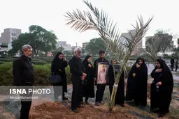 کاشت ۲۴ نخل به نام شهدای اهواز / تصاویر