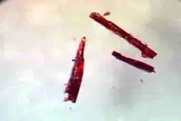 عجیب ترین کشف دانشمندان! +عکس