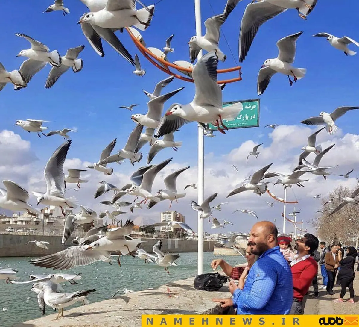 نمایی دیدنی از یک روز زمستانی در شیراز/ عکس