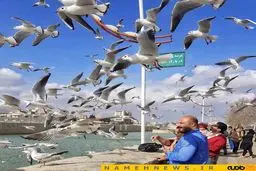 نمایی دیدنی از یک روز زمستانی در شیراز/ عکس