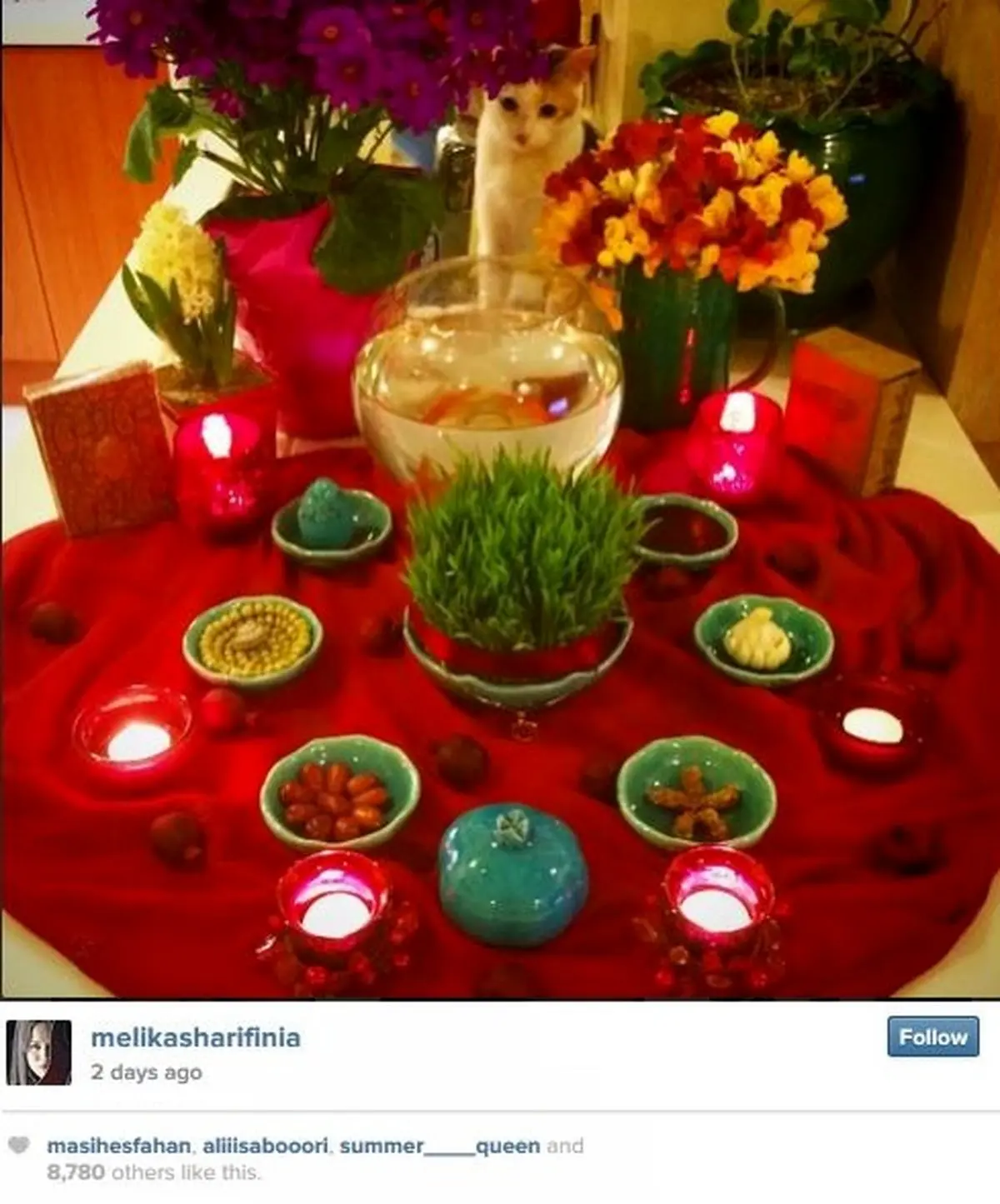 تصویر دیدنی از سفره هفت سین ملیکا شریفی نیا