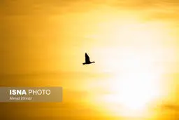 تصاویری دیدنی از تالاب «بهشت معصومه» قم