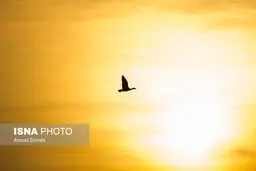 تصاویری دیدنی از تالاب «بهشت معصومه» قم