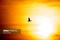 تصاویری دیدنی از تالاب «بهشت معصومه» قم