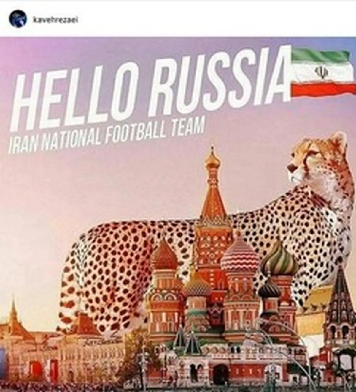 واکنش اینستاگرامی چهره ها به صعود تیم ملی به جام جهانی/تصاویر