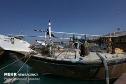 توقیف لنج های صید غیر مجاز در کیش/تصاویر