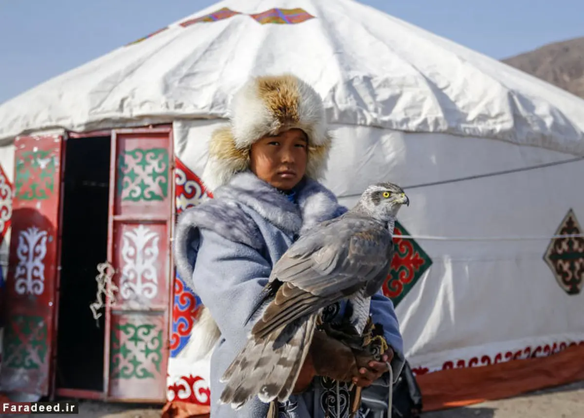 تصاویر/ مسابقه شکار با سلاطین آسمان