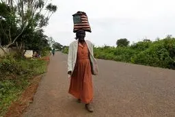 محله اجدادی اوباما+ تصاویر