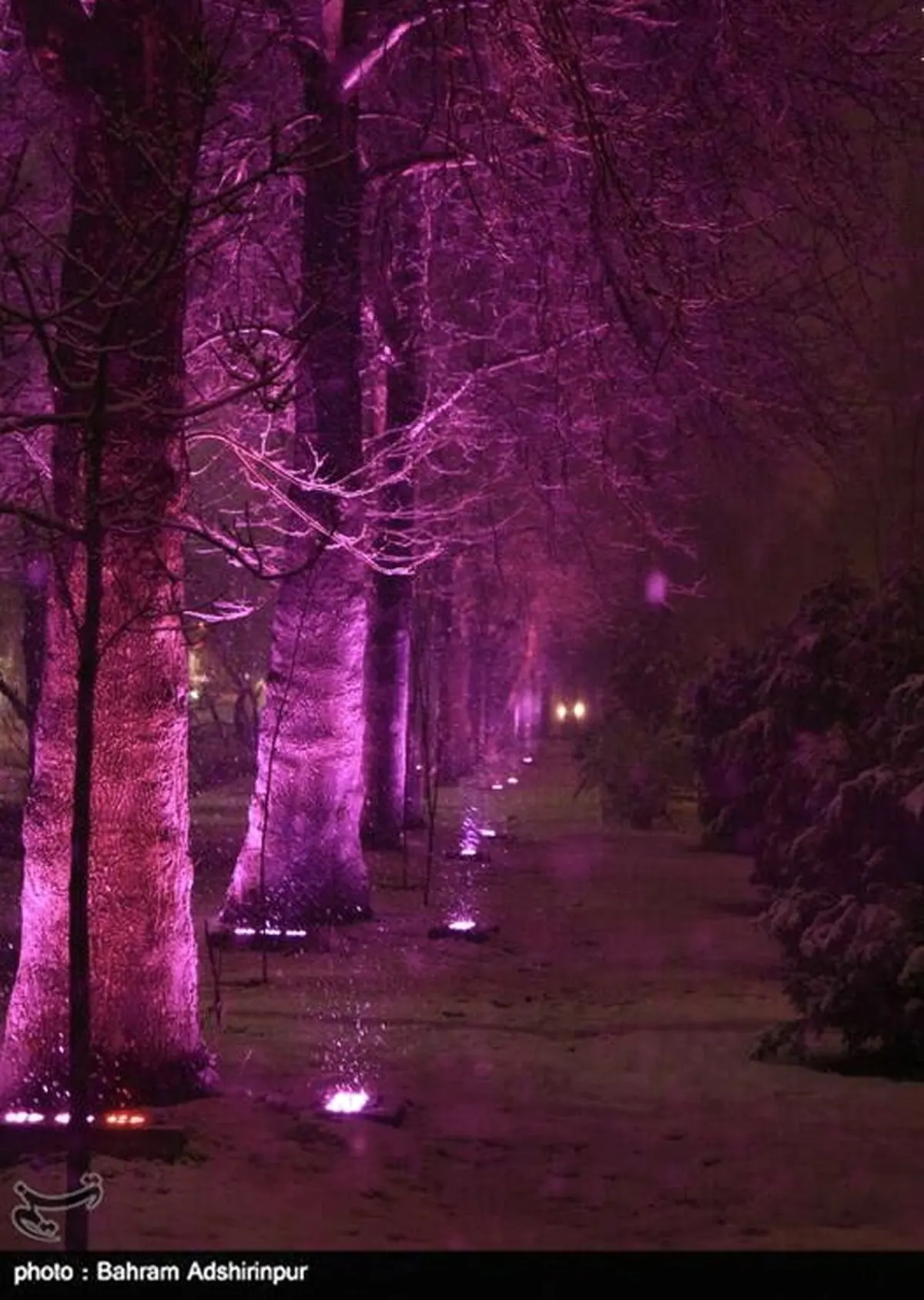 نمایی دیدنی از شب برفی اردبیل/تصاویر