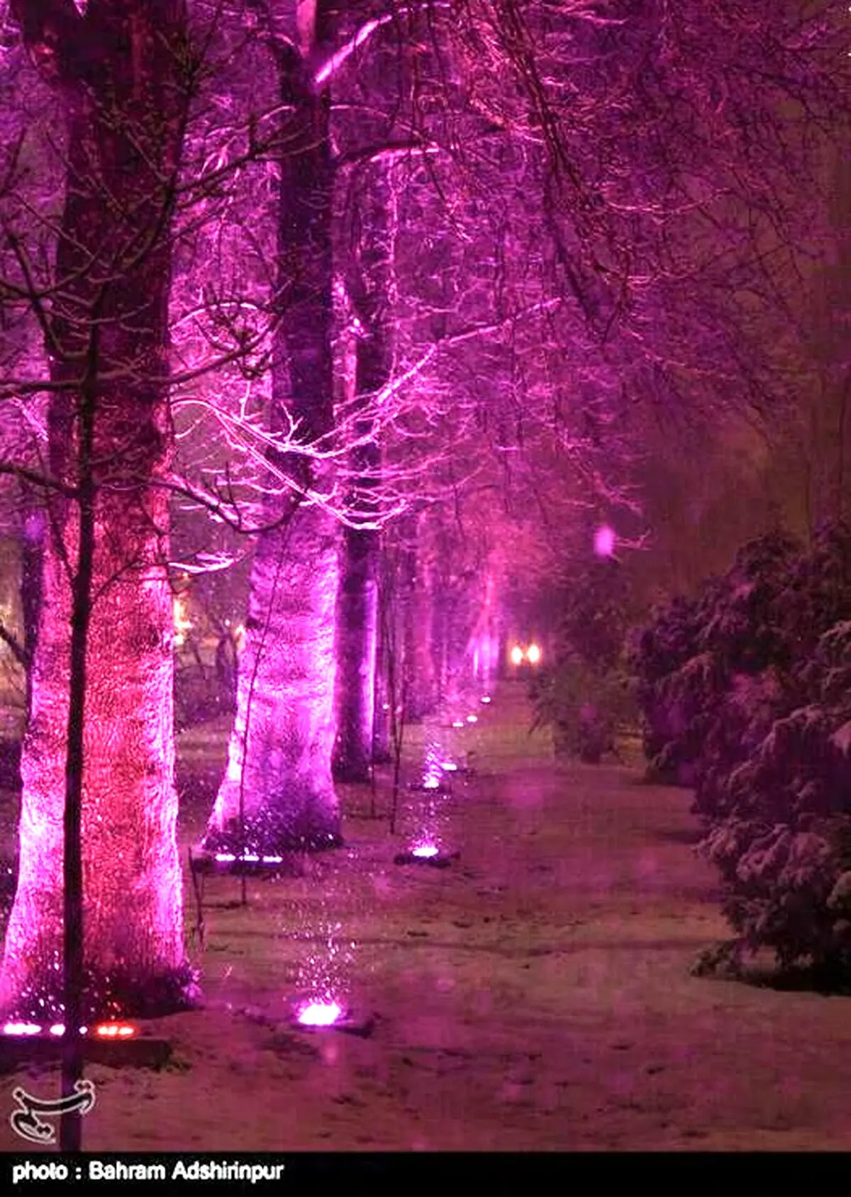 نمایی دیدنی از شب برفی اردبیل/تصاویر
