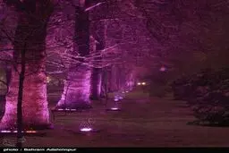 نمایی دیدنی از شب برفی اردبیل/تصاویر