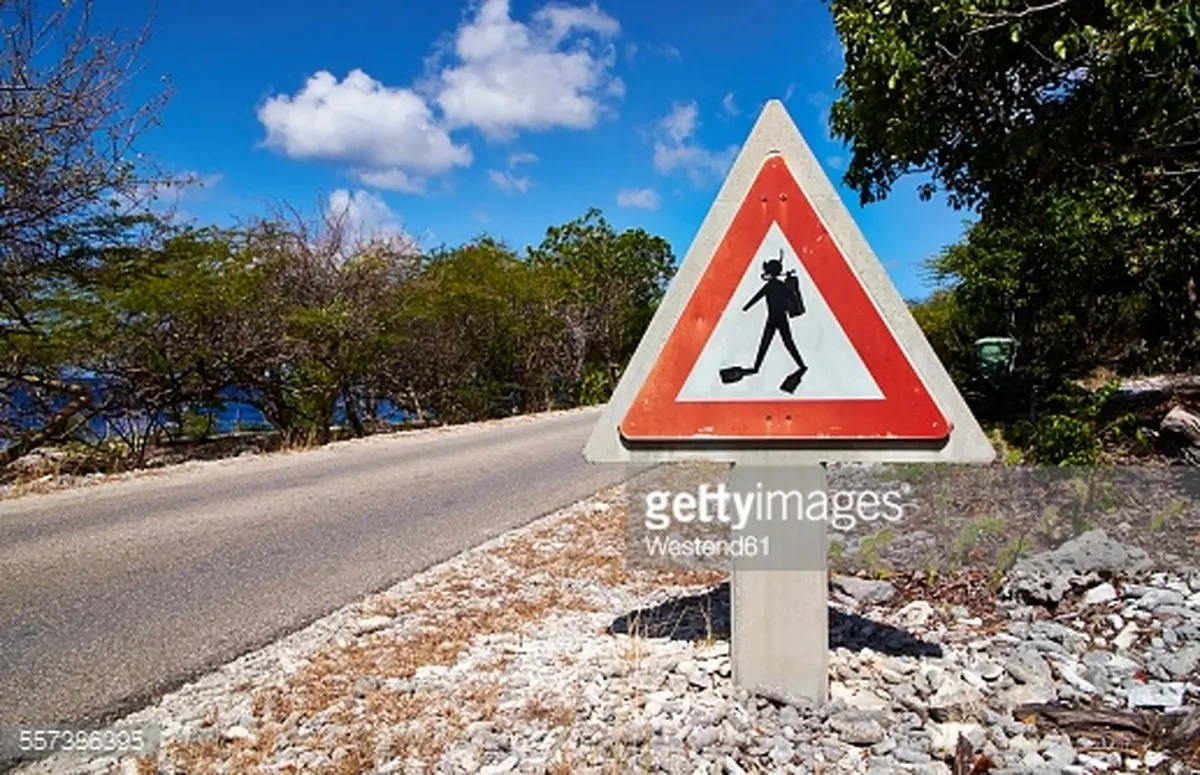 احتیاط! خطر عبور غواص/عکس