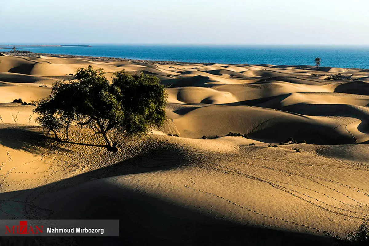 عکس/ ساحل درک در  سیستان و بلوچستان