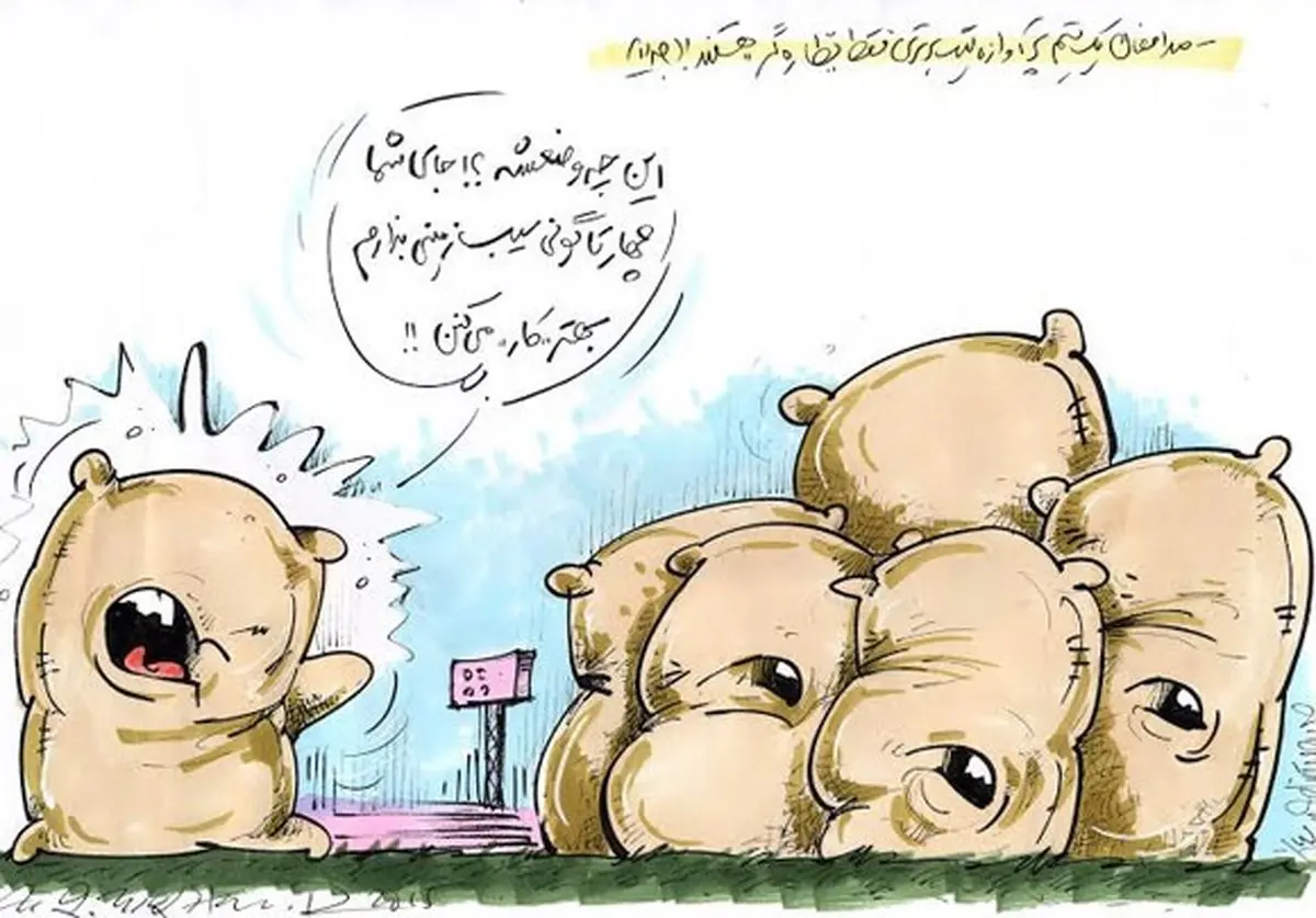 چند گونی سیب زمینی!/کاریکاتور