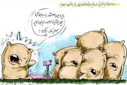 چند گونی سیب زمینی!/کاریکاتور