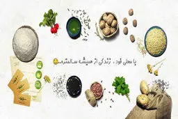 محلی‌فود؛ سایت فروش اینترنتی موادغذایی ارگانیک