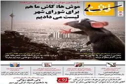 کنایه یک روزنامه به میرسلیم، رضایی و منصوریان!/عکس