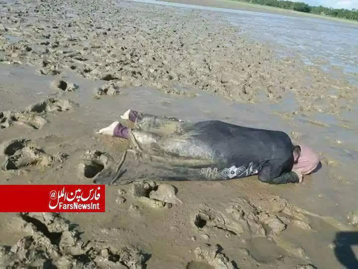 تصویری دردناک از پیکر بی‌جان مسلمان روهینگیایی در ساحل «رودخانه ناف» بنگلادش