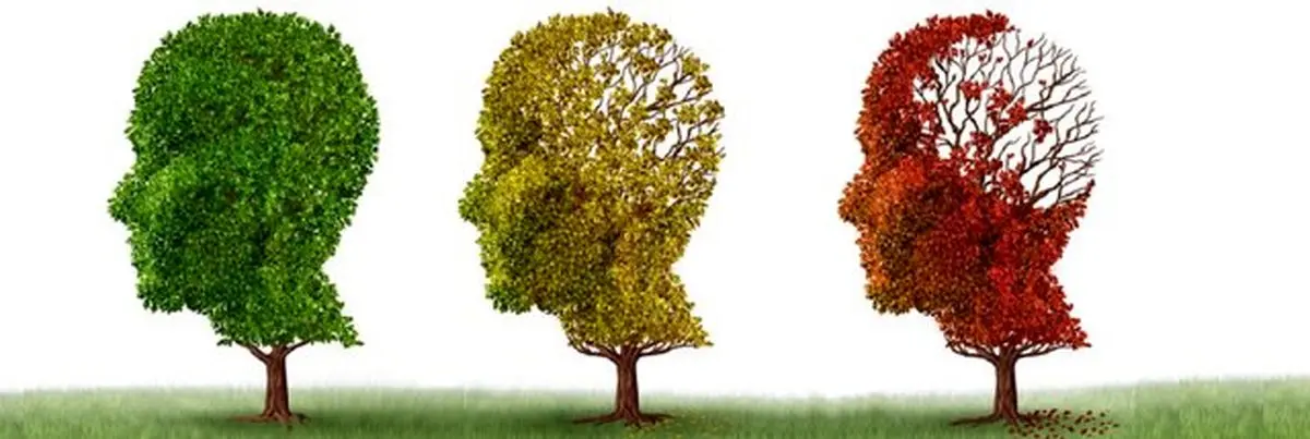 9 دلیلی که باعث ابتلا به زوال عقل می شود