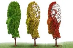 9 دلیلی که باعث ابتلا به زوال عقل می شود