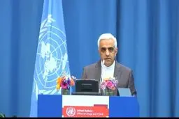 اظهار نظر جنجالی نماینده ایران در نشست بین‌المللی